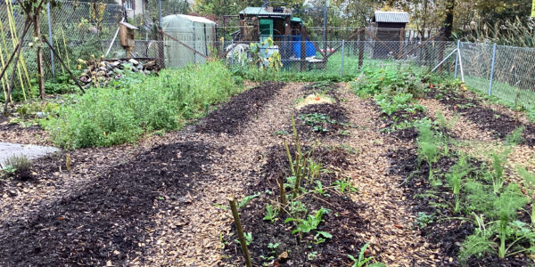 Beitragsbild Schulgarten