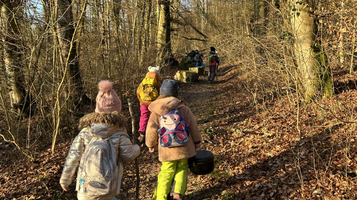 Weg in den Wald