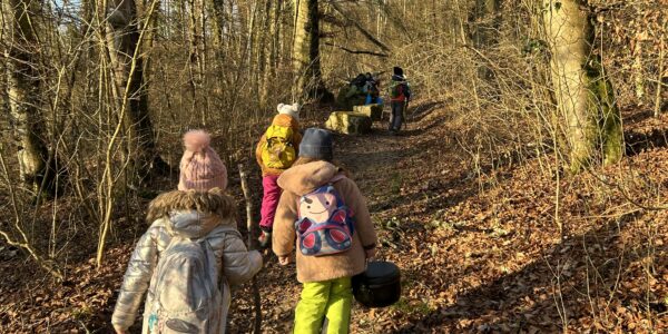 Weg in den Wald