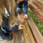 Art und Nature